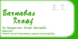 barnabas kropf business card